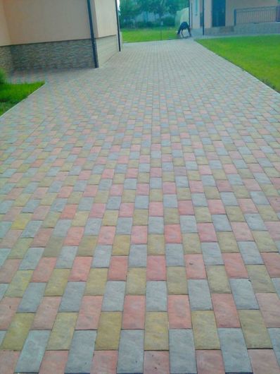 ip karancevich boris sergeevich