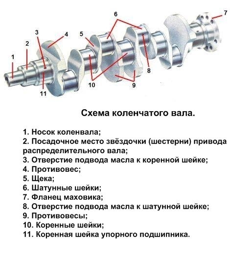 Коленвал на схеме двигателя