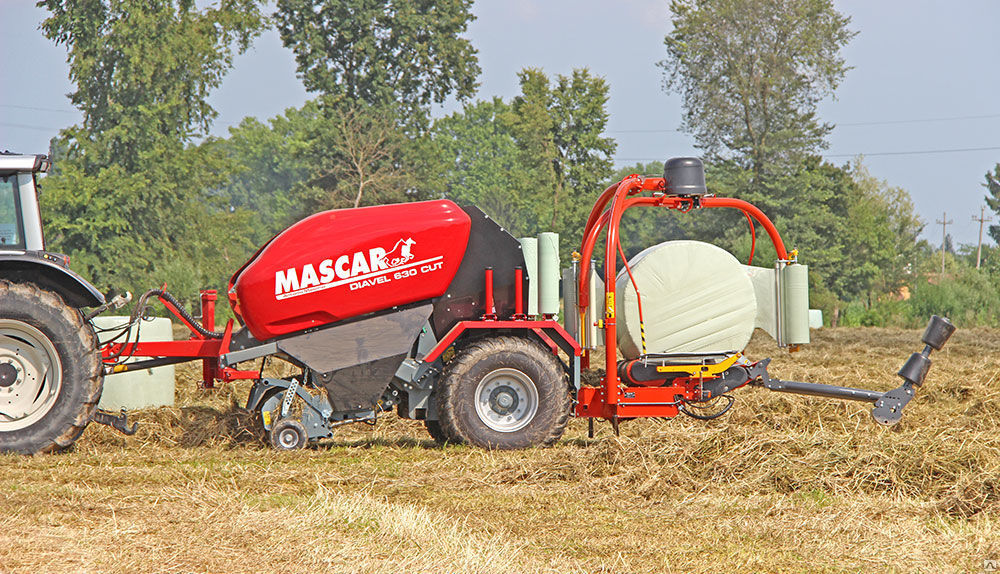 La van a mascar. Маскар ру. Mascar техника выставка. Mascar техника мини фигуры. Род маскар.