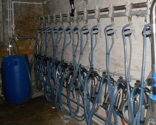 Установки доильные с молокопроводом для маш. доения коров в стойлах УДМ-200 