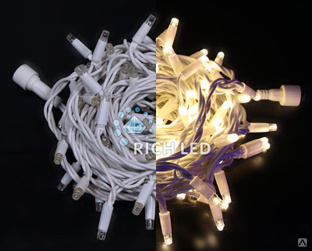 Светодиодная нить Rich LED 10 м, 24В, статика, цветная резина, IP65, герметич. колпачок, фиолетовый (арт. RL-S10C-24V-RV 