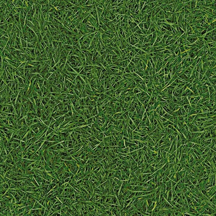 Линолеум IVC Vision Grass Т25 4м (06)
