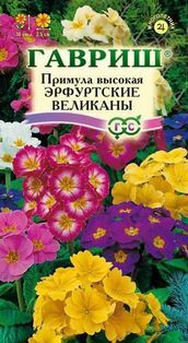 Семена цветов Примула Эрфуртские великаны 20 шт
