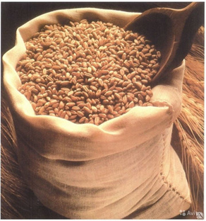 Комбикорм Пшеница фуражная 10 кг ОМСК 