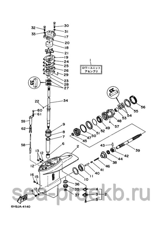 Yamaha 30 схема редуктора