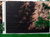 Планкен из ДПК цвет бамбук #3